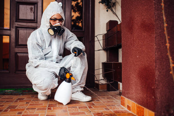 Attic and Crawl Space Rodent Treatment in Woodville